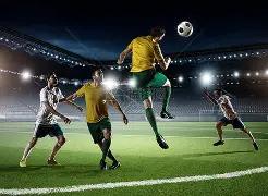 哪些设备每,日可处理,吨固废垃圾,米兰体育官方,米兰体育在线官网,米兰体育线上,米兰体育APP