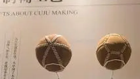 米兰体育 资讯 110528 h4e