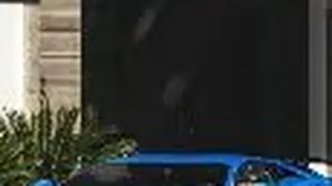 国色倾城花影初现