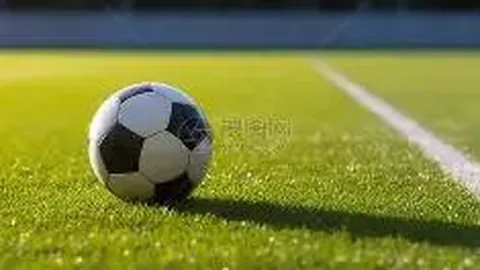 “车坛新贵排名大洗牌：理想汽车纪录告破，小鹏汽车重返巅峰”