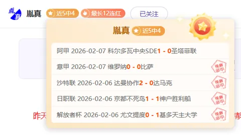 欧洲冠军赛门将普罗维德尔实现零距离进球，谱写历史新篇章